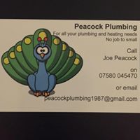 Joseph Peacock Photo 22