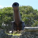 James Cannon Photo 15