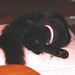 Eileen Black Photo 17