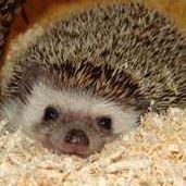 Erin Davison Photo 40 Erin Davison Photo 40