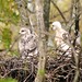 Terry Hawks Photo 9