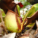 Ting Lei Photo 16