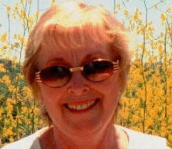 Sue Davis Photo 2