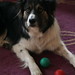 Judy Ball Photo 7