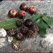 Joseph Plum Photo 4