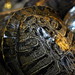 Scott Shell Photo 39