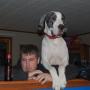 Daniel Blankenship Photo 3
