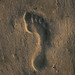 Mark Friedman Photo 20