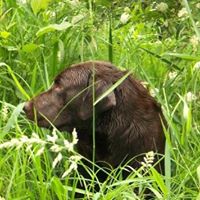 William Wicks Photo 10
