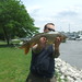 David Carp Photo 11