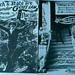 Peter Mason Photo 28