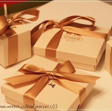 Stella Cheng Photo 23