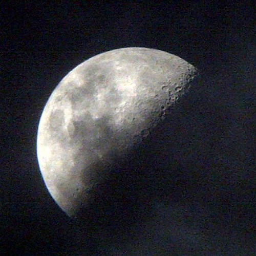 Shannon Murphy Photo 12