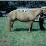Judy Webster Photo 13