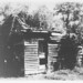 Jesse Pickens Photo 5