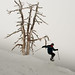 Richard Scott Photo 33