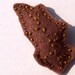 Autumn Brown Photo 6
