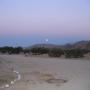 Colleen Moyer Photo 27