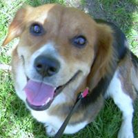 Sadie Stone Photo 6