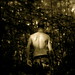 Joshua Mccarthy Photo 24