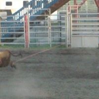 Craig Lynch Photo 33