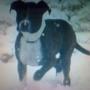 Jennifer Fancher Photo 21