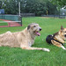 Jerry Shepherd Photo 30