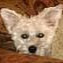 Debbie Hawley Photo 39