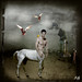 Jason Haber Photo 27