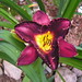Linda Beck Photo 38