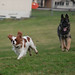 Charles Molle Photo 8