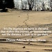 Dianne Adams Photo 39