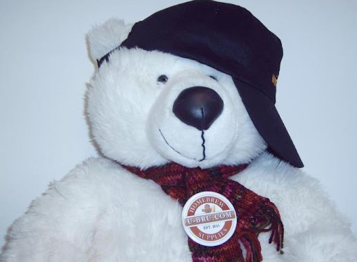 Henry Bear Photo 10