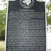 Mary Mayes Photo 15