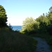 Doris Mccarthy Photo 23