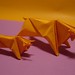 Dinh Pham Photo 21