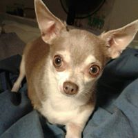 Betty Killion Photo 2