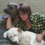Tracy Bradley Photo 39