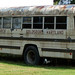 Roy Mccall Photo 16