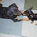 Judy Adams Photo 28