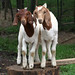Jeannie Weeks Photo 10