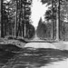 William Mckenzie Photo 18