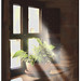 Luz Carmona Photo 18