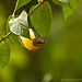 Shailendra Singh Photo 28