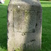 Harold King Photo 32