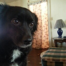 Cynthia Slaton Photo 2