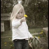 Mary Geiser Photo 14