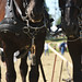 Sheila Howell Photo 26
