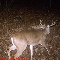 Douglas Webb Photo 36
