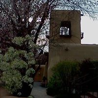 Shelley Biggs Photo 3